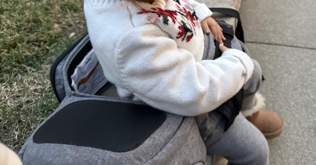 The Tushbaby hip carrier