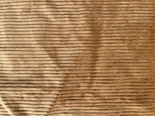 Corduroy has a very distinct texture